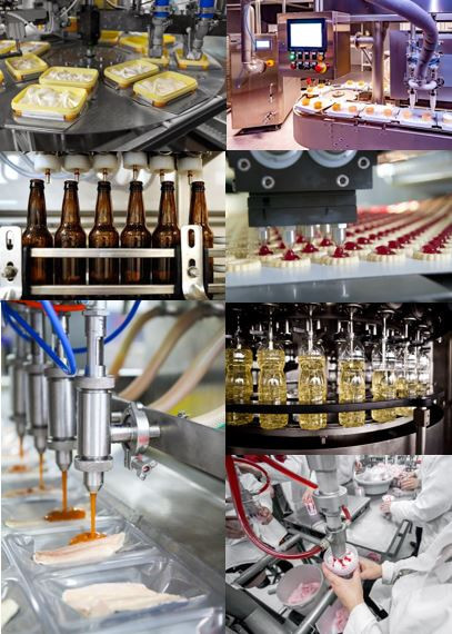 Food and Beverage processing industry